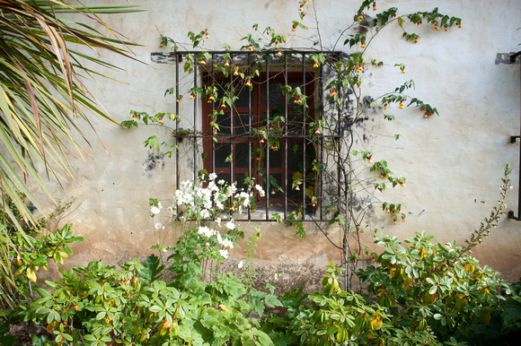 Mission Window