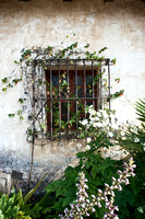 Museum Window